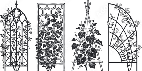 Trellis with climbing plants in garden vector
