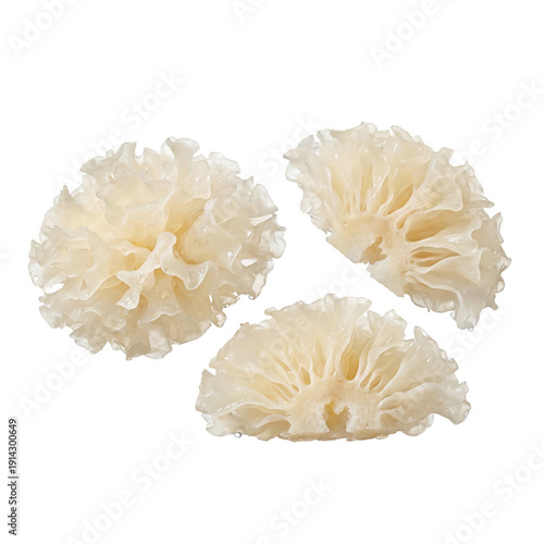 Delicate white snow fungus or tremella mushrooms, known for their jelly-like texture and culinary uses, isolated on white