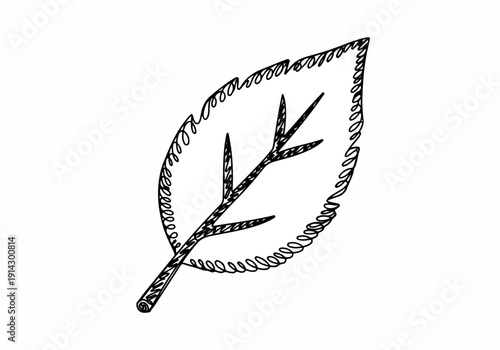 A simple black and white illustration of a leaf with detailed texture and veins, showcasing nature's beauty from a straightforward viewpoint.