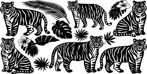 A collection of watercolor-style tiger illustrations against a transparent background. Each tiger is depicted in various poses, including sitting, standing, and reclining. They feature orange and blac