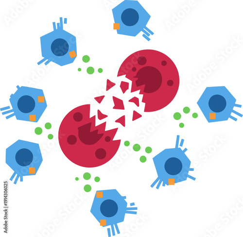 Illustration depicts NK cell tumor lysis, showcasing immune cell attack on a cancer cell. Vibrant colors highlight the process of cell destruction. Clear, informative diagram.