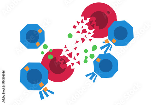 NK cells destroy a tumor cell in a visually striking illustration. Dynamic, colorful, and informative, ideal for science or medical visuals.