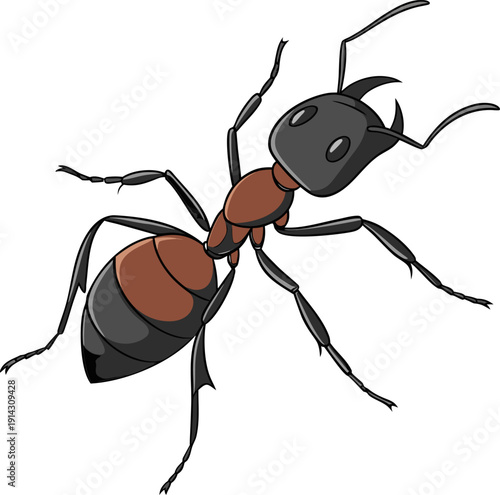 A detailed, photorealistic image of a single ant is displayed against a pure white background. The ant is depicted in sharp focus, showcasing its intricate exoskeleton details. It is positioned at a s