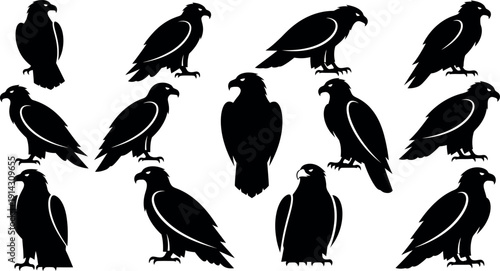 Collection of black bird silhouettes