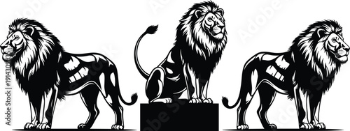 Black and white vector silhouette set of majestic male lions with manes in standing and sitting poses for wildlife conservation safari and mascot branding, (25 words)