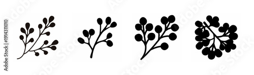 Stages of growth in a flowering plant from seedling to bloom Vector, illustration