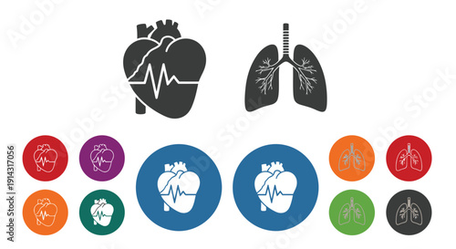 Anatomical heart and lung icons displayed with various.
