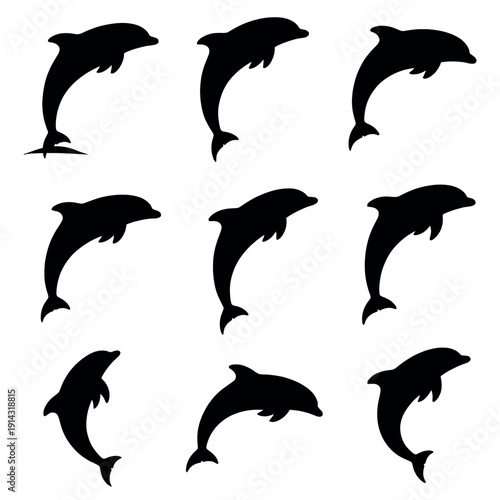 dolphin collection vector