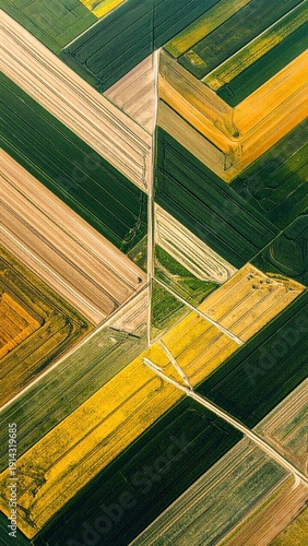 Field patterns