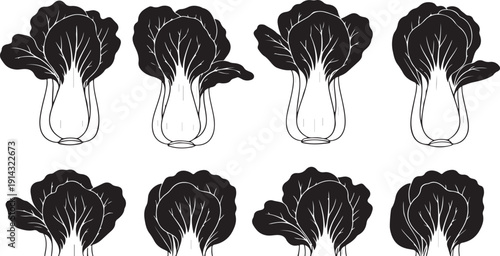Bok choy illustrations collection in black and white