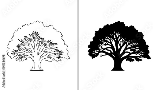 Detailed Oak Tree Outline and Silhouette Bundle – isolated on transparent background