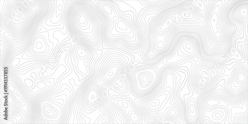 Abstract monochrome topographic map with smooth contour curves, layered terrain flow, and delicate elevation lines for landscape visualization, mapping, and modern presentation backgrounds