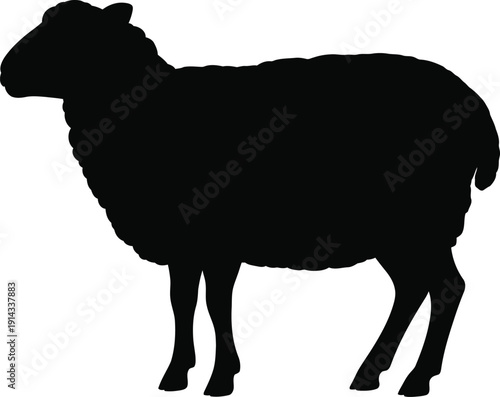 Sheep silhouette isolated on white background, farm animal ram or ewe vector illustration.
