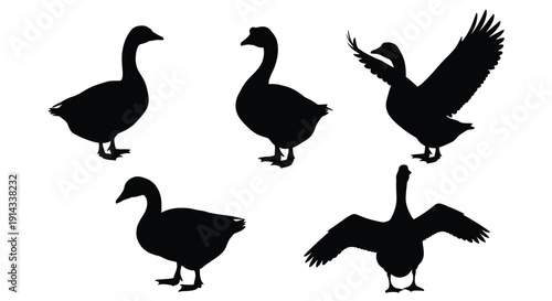 Black silhouettes of geese in various poses a minimalist depiction silhouette