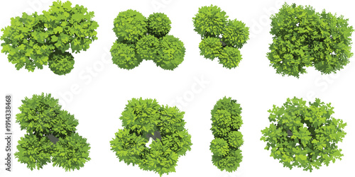 Top view green bush vector set, landscaping elements, garden foliage collection, isolated shrubs clipart, outdoor design plants, decorative nature tree illustration pack