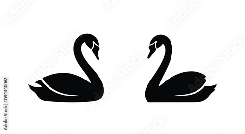 Two swans gracefully curving their necks a striking black silhouette