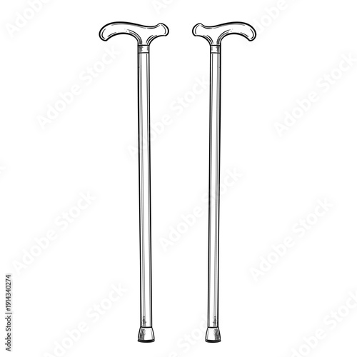 walking cane stick vector line art hand drawn illustration