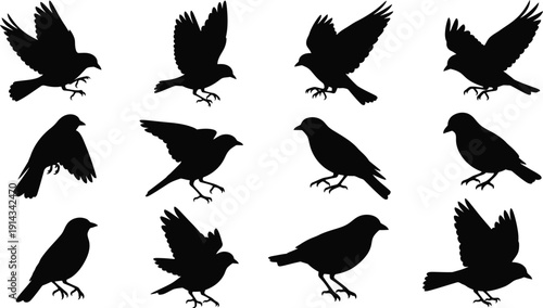 Set of silhouettes flying and perching birds on transparent background great for various design projects black bird vectors