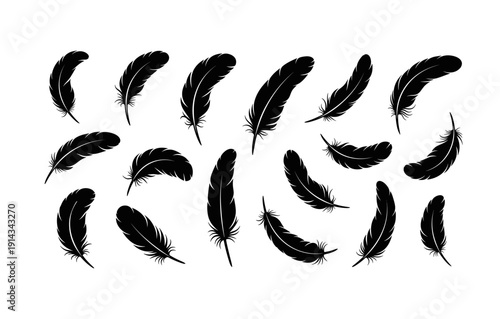 Silhouette feather collection on white background featuring various designs