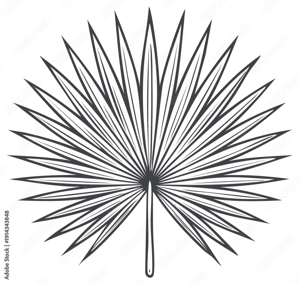 Fototapeta premium Palm leaf drawing in minimalistic style, vector illustration of tropical plant foliage design