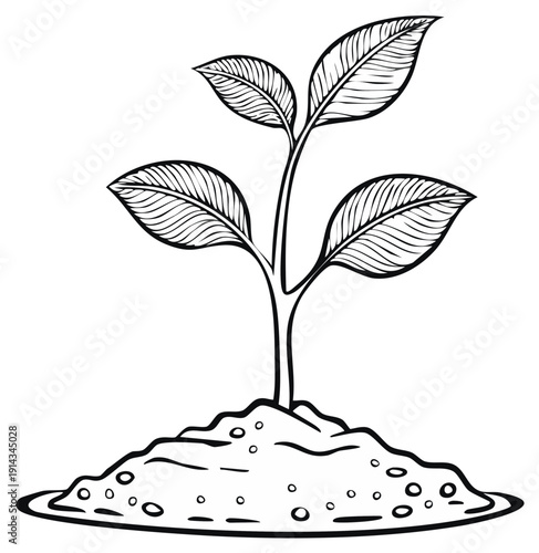 Detailed line art illustration of a young plant seedling sprouting from a mound of fertile soil, depicting growth and new life.