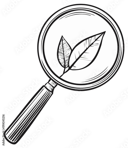 Magnifying glass examining leaves in a sketch style