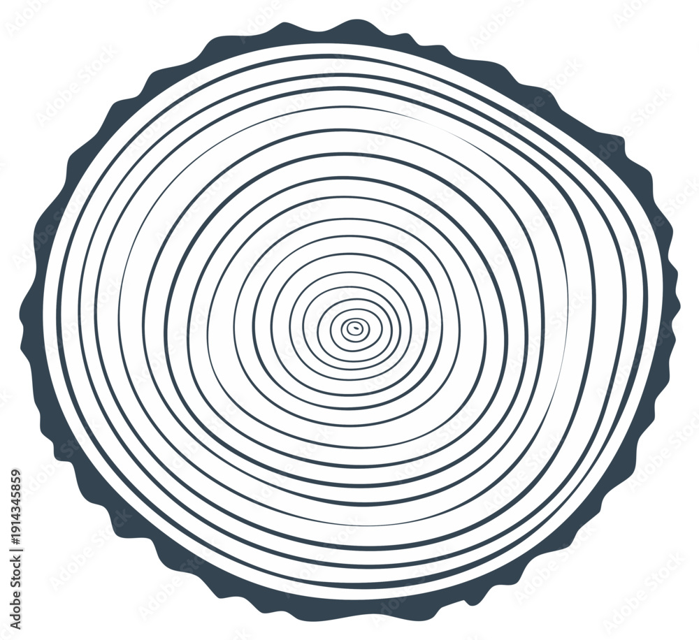Fototapeta premium Concentric tree ring pattern vector illustration with jagged bark edge