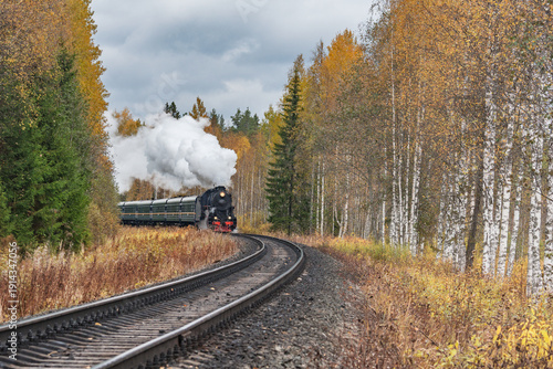Steam retro train moves in the autumn forest.
