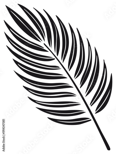 Stylized black vector illustration of a single palm leaf frond with many leaflets in high contrast minimalism