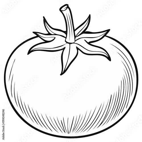 Black and white illustration of a ripe tomato with stem and leaves, ideal for coloring and food projects