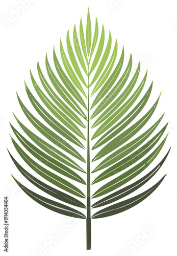 Isolated green palm frond with geometric leaf pattern showcasing symmetrical arrangement against stark backdrop evoking tropical freshness and simplicity