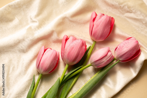 фотографія Delicate pink tulips on a on velor fabric