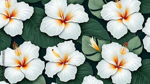 Decorative background with Hawaiian white hibiscus flowers.