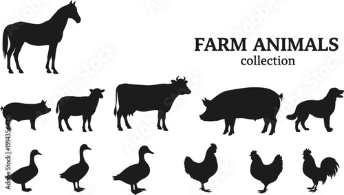 Collection of farm animals silhouettes on a white background.