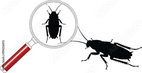 Black cockroach silhouette insect bug under a magnifying glass for pest control inspection and extermination service isolated on white background.