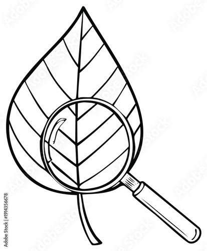 Magnifying glass examining a leaf, science, nature and education concept