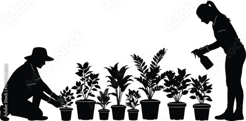 Black silhouette of female gardeners planting and spraying water on a row of diverse potted indoor plants on white background.