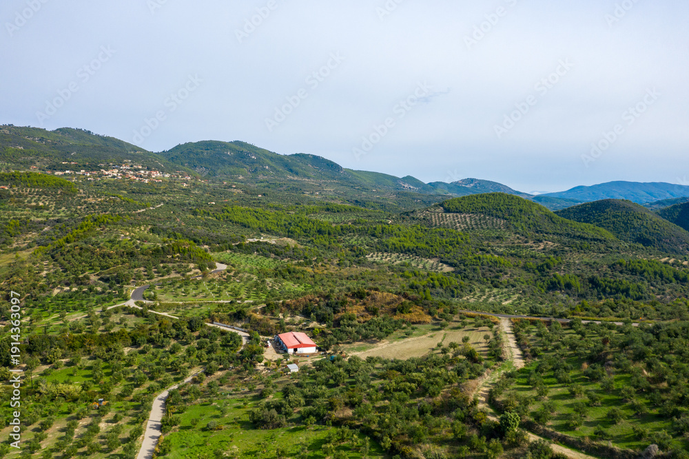 Obraz premium Expansive aerial perspective of lush olive groves and winding rural roads stretching across rolling green hills in the Greek countryside. Distant village and forested slopes create a tranquil