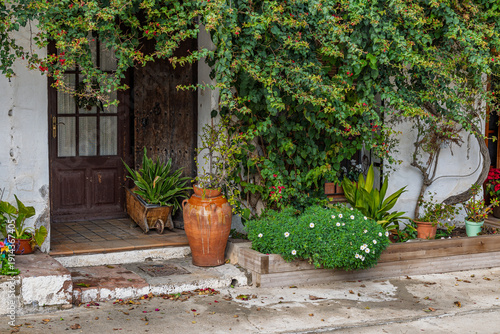 Ivy Covered Courtyard Entrance with Terracotta Pot and Plants
