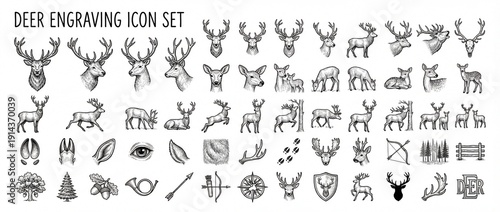 Wallpaper Mural A collection of detailed deer engravings showcasing diverse species, their antlers, and natural elements in an artistic style Torontodigital.ca