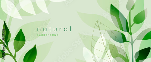 Natural background. Vector illustration for graphic and web design, social media, business and marketing material. Concept for natural and organic products, beauty and cosmetics, fashion, environment.