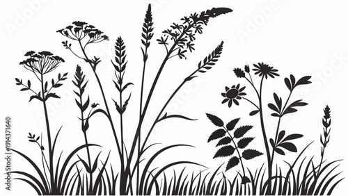Wildflower Meadow Silhouette for Spring Garden Design Summer Nature Website Background Botanical Print