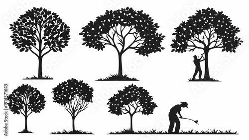 Diverse Tree Silhouettes Set Garden Landscaping Arboriculture Maintenance Icons for Ecology Design Projects