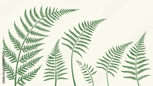 Lush Green Fern Fronds Illustration Perfect For Nature Websites Eco Branding Organic Product Packaging Spring Decor