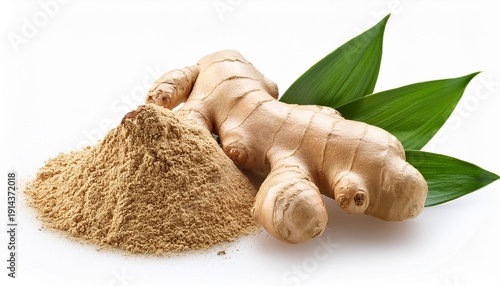 Ginger Root With Stem And Leaves
