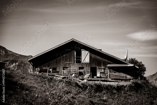 Wallpaper Mural An animal barn in the Swiss alps Torontodigital.ca