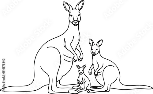 Cute kangaroo family line art illustration depicting an adult a younger one and a joey peacefully standing together in outline style