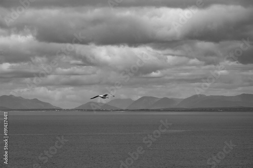 A bird is flying over a large body of water