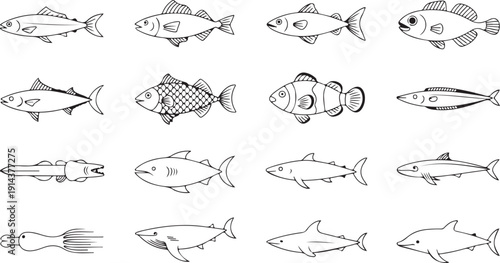 A collection of diverse cartoon fish, sharks, dolphins, and aquatic animals in simple outline drawings