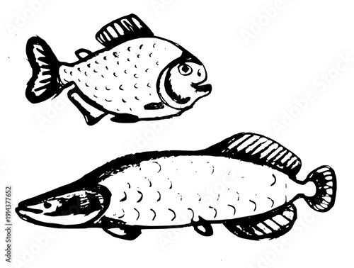 Set of two Amazonian fish: Pirarucu (Arapaima) and Pacu in vintage linocut block print style.